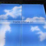 100-240VAC 600X600MM 48W SMD3528 Ceiling Suspended Frameless Sky LED Panel Light