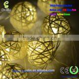 Customized LED String Decorative LED Garden Decor String Light thumbnail-6
