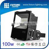 New Version High Power Cheap Price Outdoor LED Smd Floodlight LED Floodlight 100W