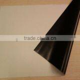 Front Projection Screens With Eyelet and Black Border