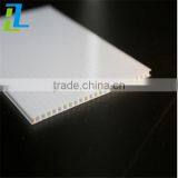 4mm/6mm/8mm/10mm/12mm Colored Double Layer Hollow Polycarbonate Sun Sheet