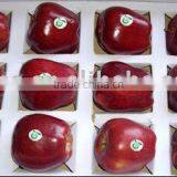 Red Delicious Apple/huaniu Apple