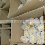 Sell 2013 Fresh Potatoes thumbnail-1