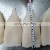 IQF Squid Tube Fish Todarodes Pacificus thumbnail-1