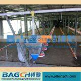 Bangchi Feeding System of Poultry Equipment thumbnail-2