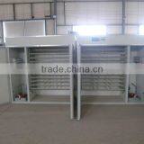 Fertilized Chicken Hatching Eggs Price