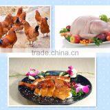 TM-65 Poultry Plucker Finger Turkey Hair Removing Machine thumbnail-5