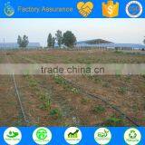 TS Irrigation Build the Automatic Farm Irrigation System for Agriculture thumbnail-3