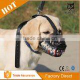 Adjustable Buckle Breathable Soft Mesh for Dogs