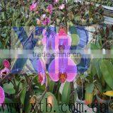Fast Seedling Plant Factory for Vegetable Greenhouse thumbnail-1