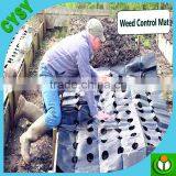 PP Ground Cover,weed Barrier Fabrics, Weed Mat in Strawberry Garden thumbnail-4