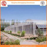 China Supplier Multi-span 7.2m Plastic PE Film Agriculture Greenhouse for Sale thumbnail-5