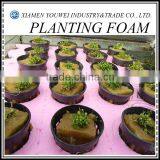 Soilless Culture Planting Foam For Green Agriculture thumbnail-1