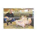 Feed Grade Concentrated Soya Protein thumbnail-1