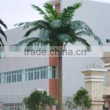 Fake Palm Tree Reasonable Price Outdoor Landscaping Artificial Coconut Tree thumbnail-4