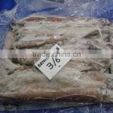 Semi Needle Squid Whole thumbnail-1