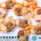 Seafood Importer Clam Meat Shellfish Seafood Frozen thumbnail-3
