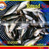 FROZEN WHOLE ROUND MARUADSI (ROUND SCAD) thumbnail-2