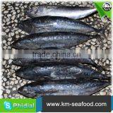 Hot Selling Without Faure Marin Bonito Exporting thumbnail-4