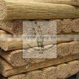 Reed Blind thumbnail-5