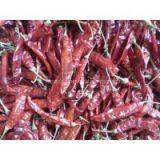 Cayenne Pepper thumbnail-3