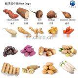 Potato Washer Sweet Potato Peeler Machinery Potato Washing and Peeling Machine thumbnail-3