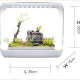 Full Spectrum White Light Grow Lights 4000K/6000K Grow Lamp For Indoor Plants thumbnail-5