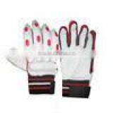 High Class Cricket Gloves