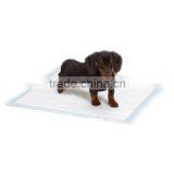 Pet Absorbent Pads Potty Pads for Large Dogs Discount Wee Wee Pads