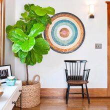 High Quality Fiddle Leaf Bonsai Plants Decorative Home Outdoor Bonsai Stand thumbnail-5