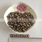 Chinese black watermelon seeds in big size
