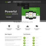 Software Development Custom thumbnail-2