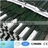 Hot Factory of Steel Mesh T POST for Sale