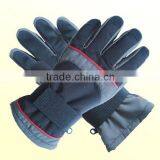 Thinsulate Winter Gloves