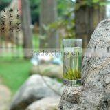 Organic China Slimming Tea Hang Zhou West Lake Green Tea xi hu Longjing Dragonwell Green Tea thumbnail-3