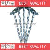Iron Twisted Shank Roofing Nails thumbnail-1