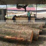 Wood Drying Kiln, Wood Treatment Machine thumbnail-5