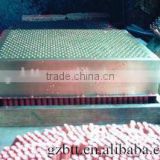 chalk molding machine 0086-13660050586
