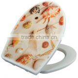 Urea Formaldehyde Toilet With Beautiful Applique Cover thumbnail-2