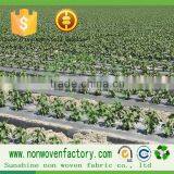 Nonwoven Fabric Polypropylene Price per kg Non Woven Fabric Weed Mat thumbnail-2