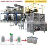 Pouch in Bag Packing Machine