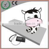 500kg Cattle Weighing Scale thumbnail-1