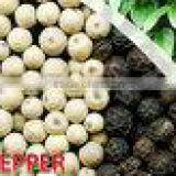 Vilaconic company overview - view 2 thumbnail