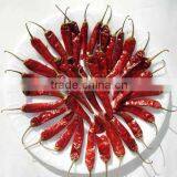 BEST QUALITY RED CHILI EXPORTER thumbnail-3