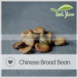 Manufacturer Wholesale Broad Bean Prices
