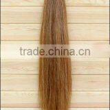 Natural Horse Tail Hair