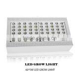 In Stock LED Grow Lamp 300w Red Blue IR UV Grow Light , Garden Greenhouse Plant Horticulture Hydroponic Led Grow Light thumbnail-2