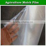 Agricultural Plastic Mulch Cover Black Mulching Film thumbnail-5