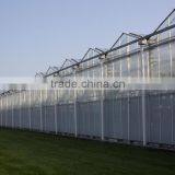 Chengdu BaoLiDa Low Price Polycarbonate Greenhouse pc Sheet Greenhouse thumbnail-2