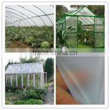 High Quality With Cheap Price Greenhouse Film, UV Protection Agricultural Film thumbnail-1